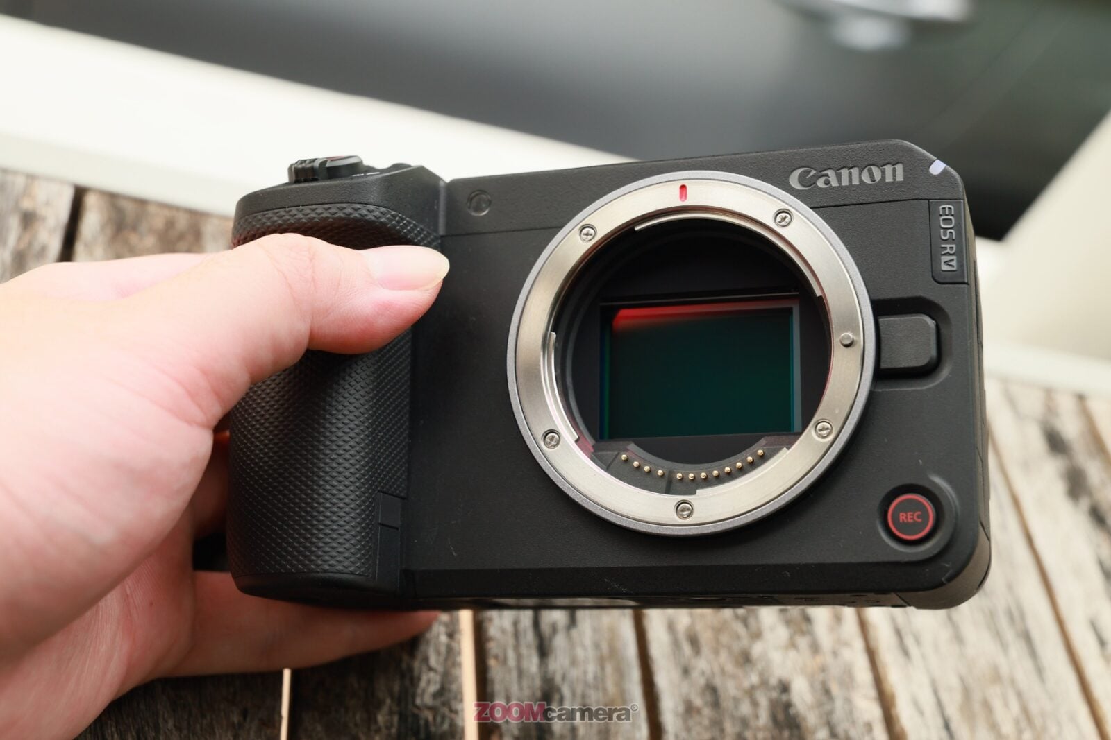 review Canon EOS R6V 12