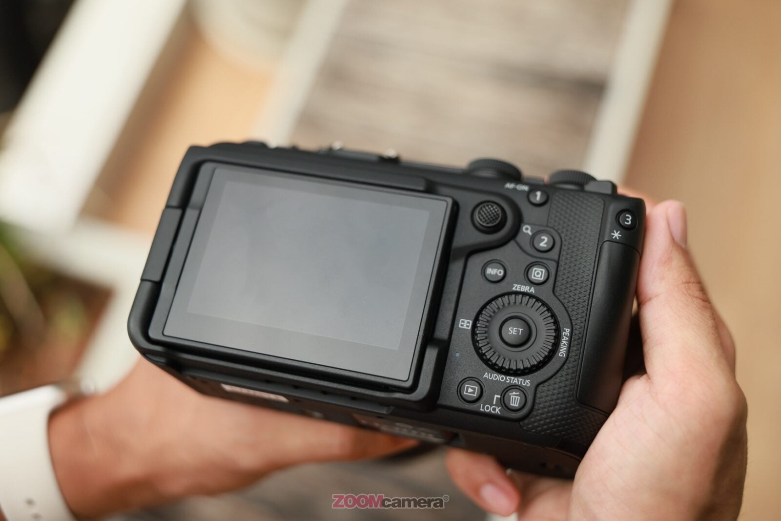 review Canon EOS R6V 8